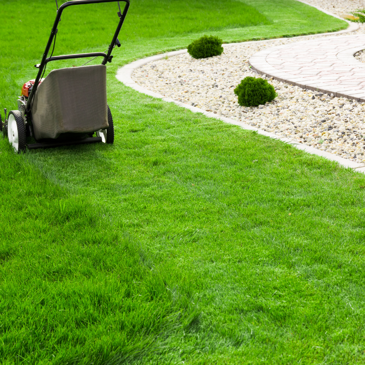 YouNeed-To Consider-Best Lawn Mowers